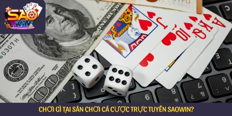 Chơi gì tại sân chơi cá cược trực tuyến Saowin?